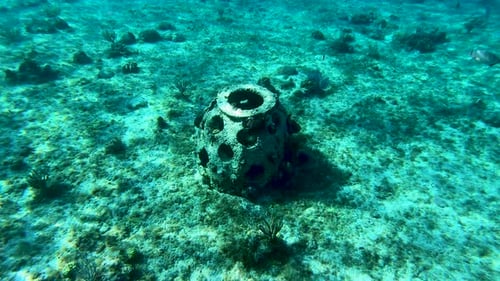 stone sculpture underwater in sea for fishes | turquoise underwater clear view of coral reef in Cari
