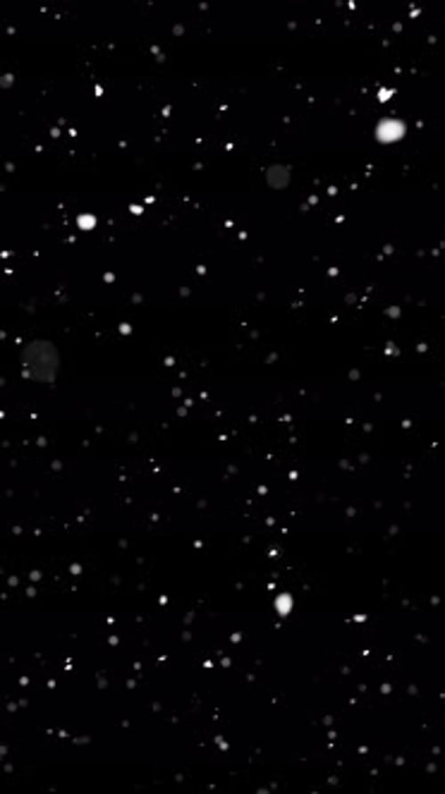 White Snowflakes Falling on Transparent Black Background