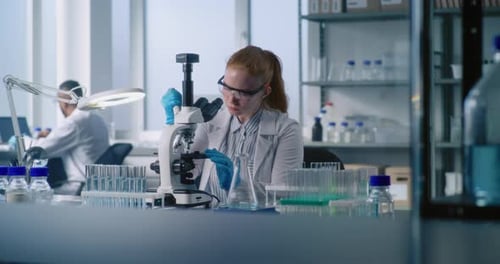 Scientist Works with Microscope in Bright Laboratory