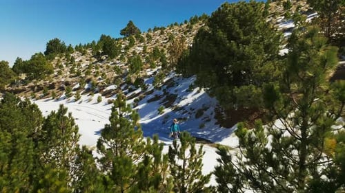 Hiker Walking Along a Snowy Trail in Nevado de Colima National Park Surrounded by Pine Trees