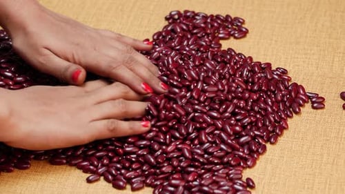 Hands Sorting Shiny Red Kidney Beans Close Up