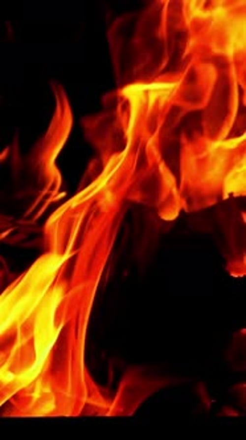 Ralentissement du bois brillant. Flamme de feu. Vidéo Bonfire Vertical