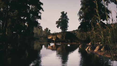Crocodile se prélassant au bord de la rivière au milieu d'une végétation luxuriante au crépuscule
