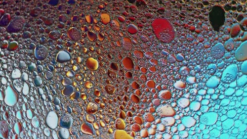 Abstract Colorful And Shiny Oil Bubbles Circles Background 14