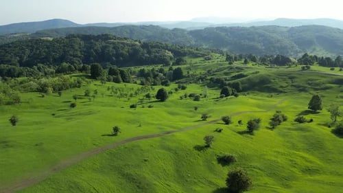 Amazing View Of Aerial Green Nature