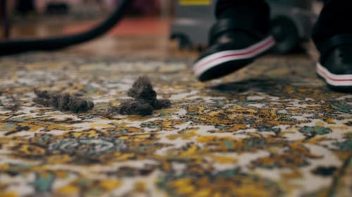 Close Up Professional Cleaning of the Apartment There is a Wool Scraper and a Wool Spool on the