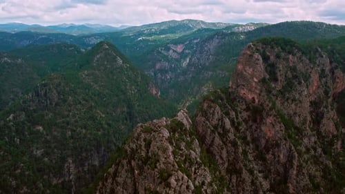 Schlucht, Wälder