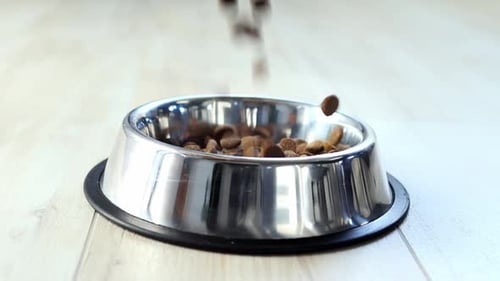 Dogs' Food Falls into Metal Plate in slow motion. Dry Animal Feed Falls Into a Bowl. Pets feed
