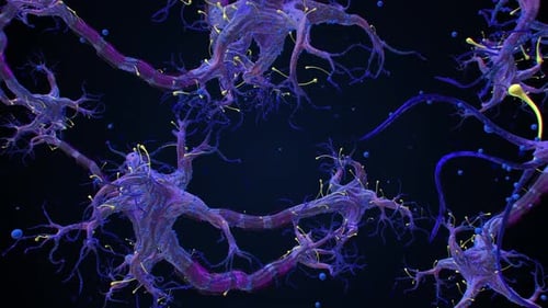 Abstract Animated Neuron Cells Network with Synapse Impulses