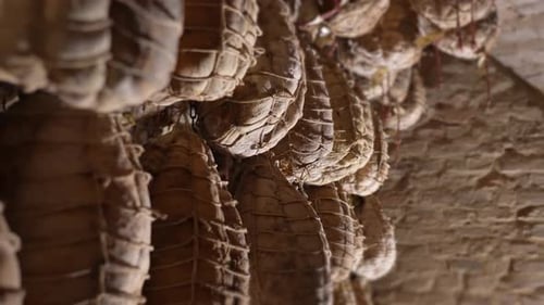 Hanging Cured Meat in Stone Room