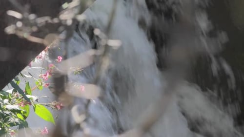 Waterfall cascading over rocks with delicate pink flowers in the foreground, creating a serene natur