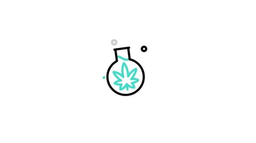Flask Animated Icon