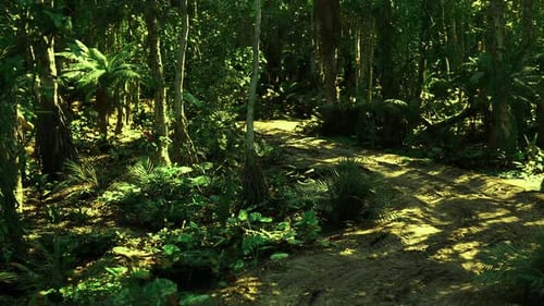 Lush Lowgrowing Plants Beside Curving Walk Amid Humid Environment