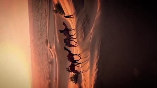 images verticales d'une caravane de chameaux traversant les dunes arides du désert