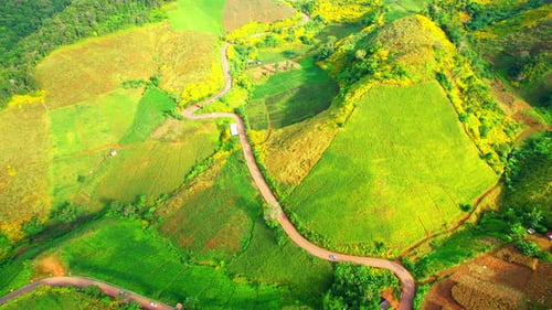 Aerial View of Winding Road Through Green Landscape