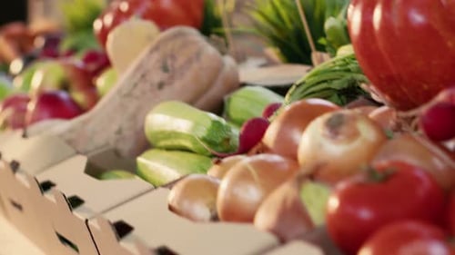 Small Business Shop with Fruits and Veggies Grown in Garden