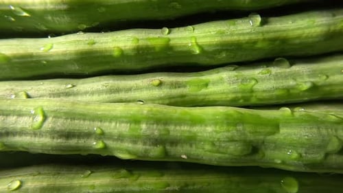 Drumsticks - Moringa - Close up Shot - Leftwards