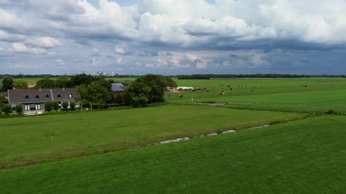 This image shows a wide, green pasture dotted with cows grazing under a partly cloudy sky. A narrow