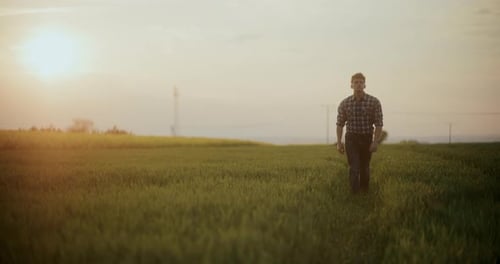 Man Walking Through Field at Sunrise
