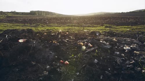 Dump Near Fields Where They Grow Food