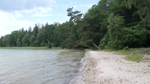 Serene Lake Water Gently Washing Onto a Sandy Shore Framed By Lush Green Trees and a Clear Blue Sky