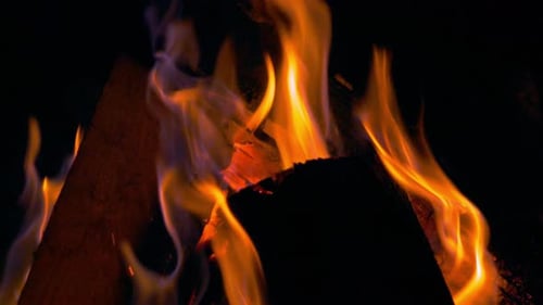 Firewood