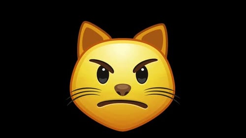 Animated Cat Emoji Showing Sad And Angry Expressions