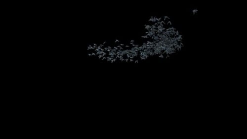 Swarm of Bats Flying Halloween Alpha Channel Overlay