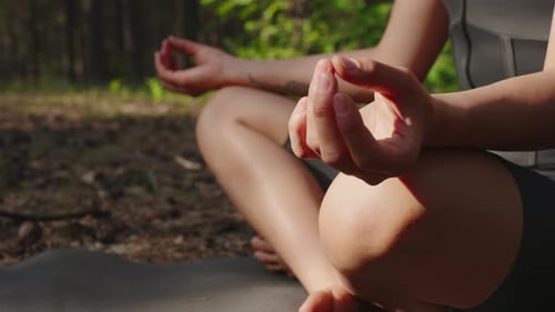 Woman Meditating in Forest Sunlight