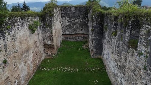 Backward Dolly Shot Through Historic Stone Walls Overgrown with Nature