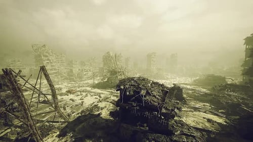 Early Light Exposes Flourishing Greenery Among Broken Structures