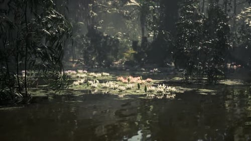 Serene Water Lilies Thrive in the Lush Jungle of Vietnam Under Soft Sunlight