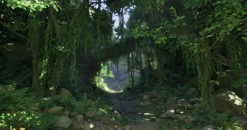 Sunlit Forest Path with Cascading Green Vines and Foliage