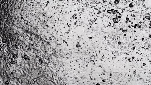 Mysterious structure with squiggly black shapes and speckles scatters chaotically. Extreme macro sho