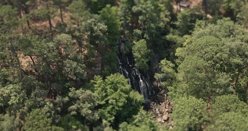 Lush Waterfall Hidden in Dense Green Forest