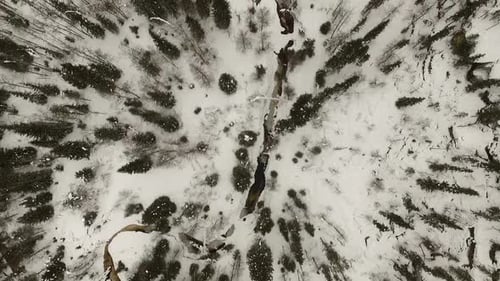 Lapland Pine forest and small river aerial view