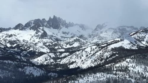 Les Hemlocks enneigent la station de ski de Mammoth Mountain, Californie, hiver, printemps, blizzard, poudreuse profonde, zoom