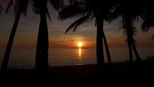 Luftbild von Sonnenuntergang und Kokospalmen