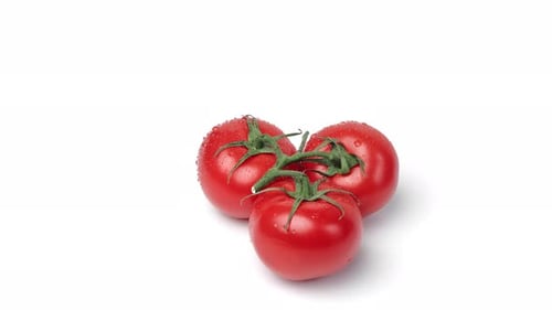 Whole Cherry Tomatoes on Twig Organic Dietary Food Cooking Recipe Groceries Market Rotation Isolated