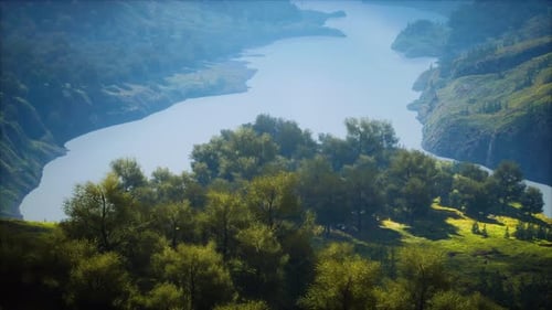 Shot of a Creek in the Middle of Green Woods Surrounded By Hills