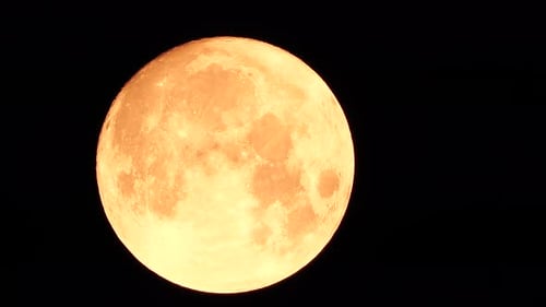 Dramatic Orange Moon Rising in the Night Sky