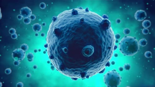 Virus