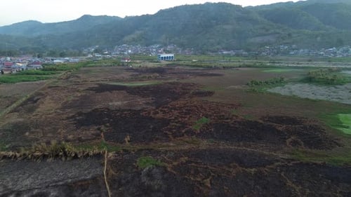 aerial view of land fire on the edge of Lake Limboto