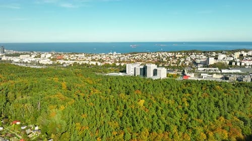L'horizon de Gdynia et les eaux côtières vus d'en haut, bordés de forêts automnales luxuriantes et mettant en valeur