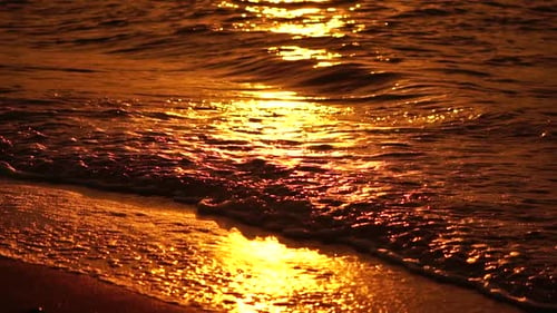 Golden Sunset on the Beach Foamy Waves Rolling Towards Golden Sand Beach Under Low Warm Sun Light