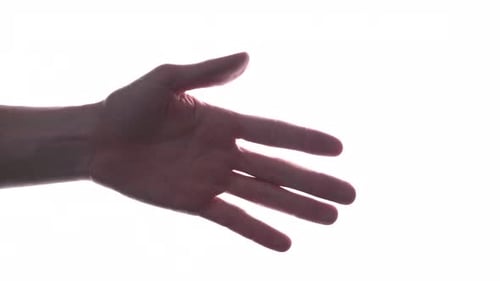 Hand With Palm Wide Open In White Background - close up, studio shot