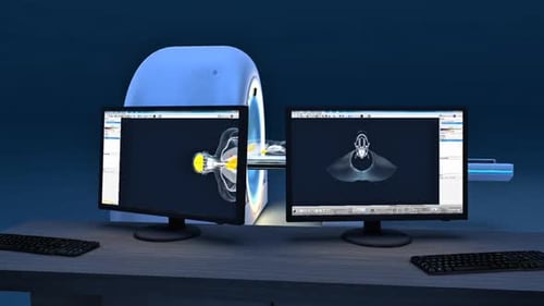 3D CT Scan of Human Body with Internal Organ Display