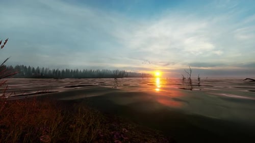 Shore Of A Misty Lake At Sunrise In Summer