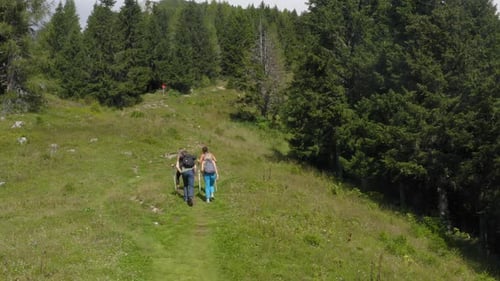Drone shot of four hikers hiking in the forest from the back.