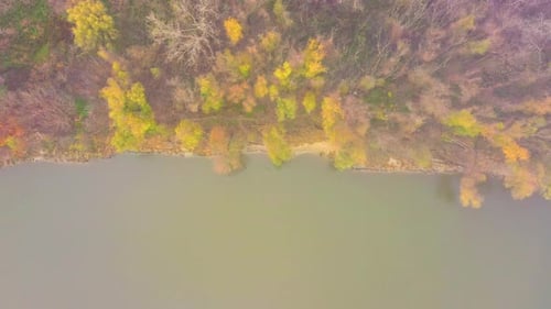 Autumn forest near the lake. Yellow trees and blue water. Top view. Drone shot. Clouds. Aerial phot